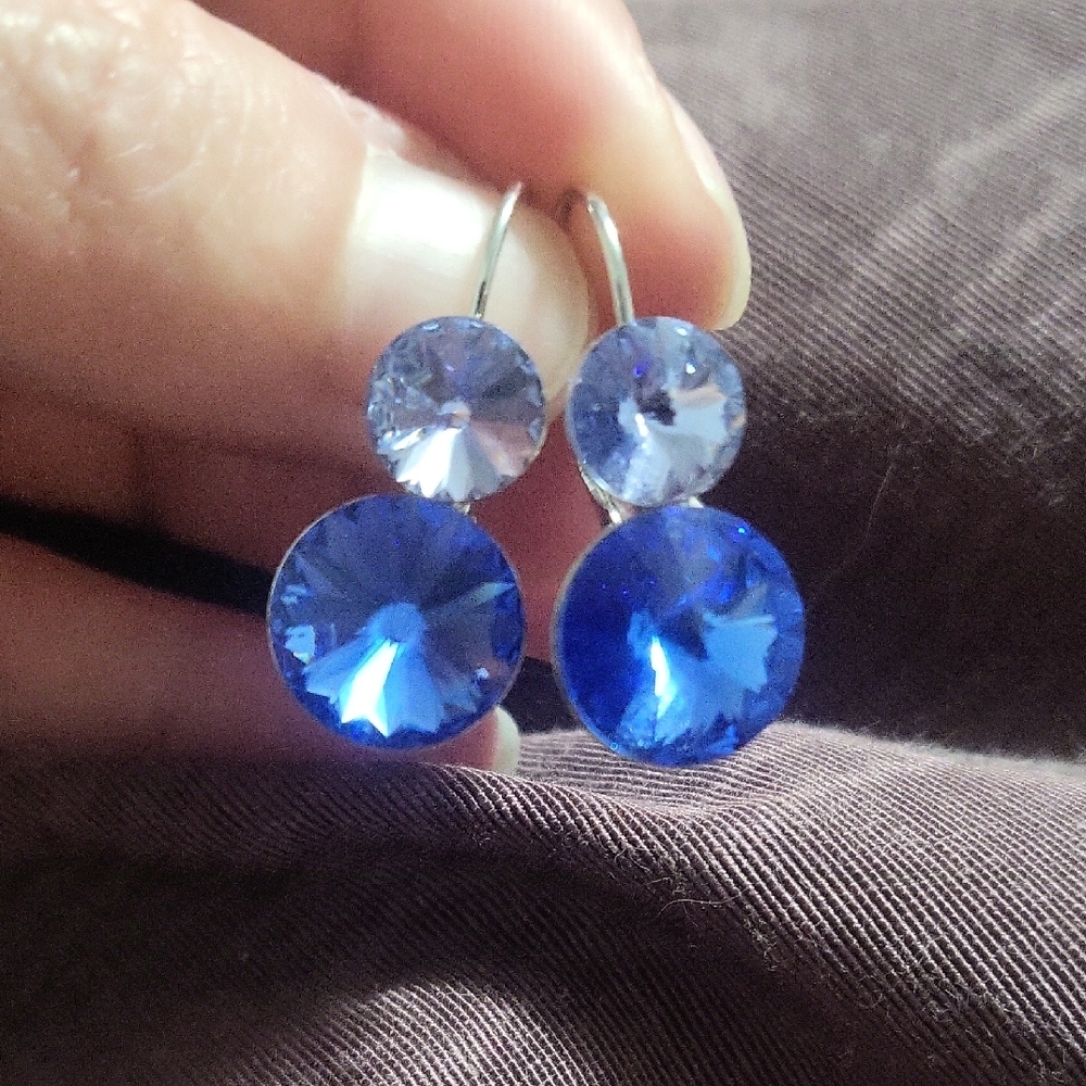Elegant Blue Crystal Earrings